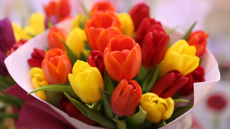 bouquet of tulips