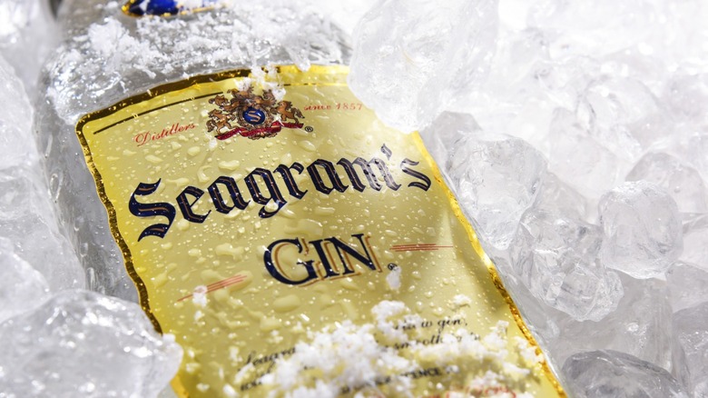 Seagram's Gin bottle on ice