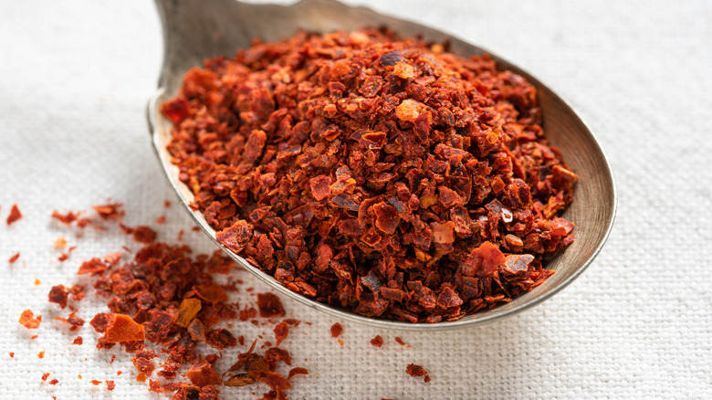 Aleppo pepper on a spoon 