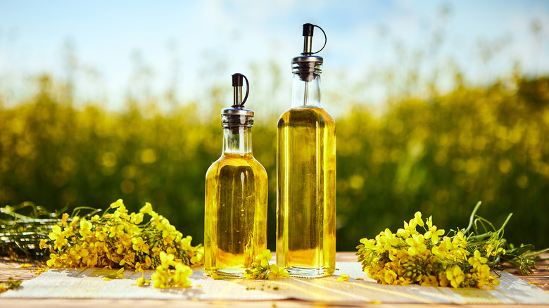 canola oil in bottles