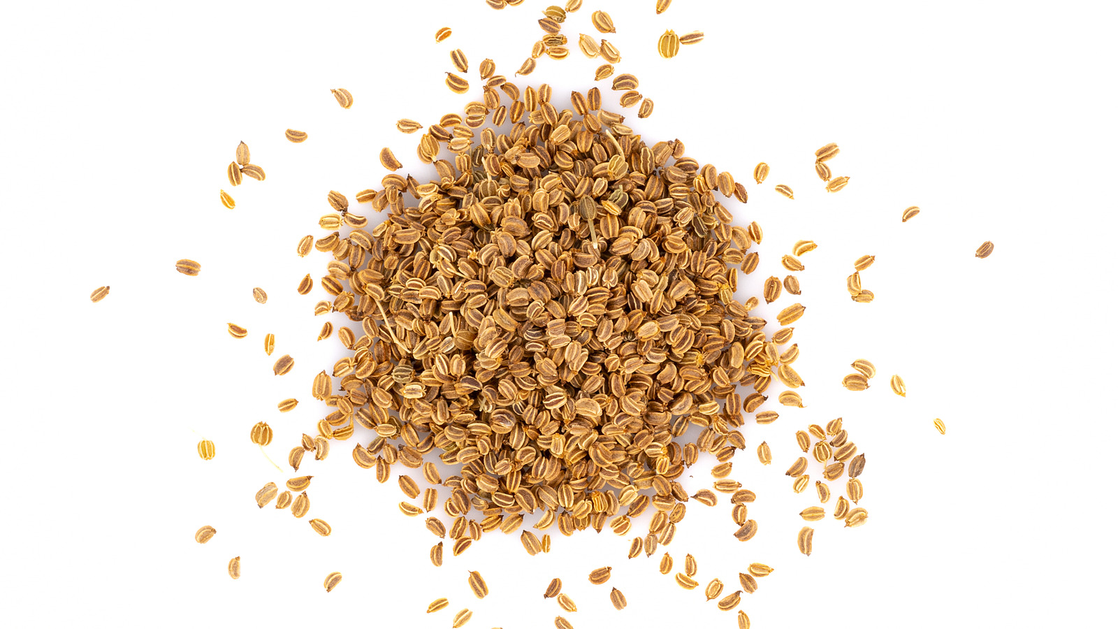 10 Best Substitutes For Celery Seeds