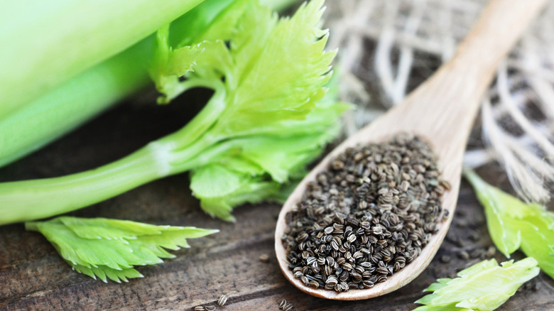 celery seeds beside celery