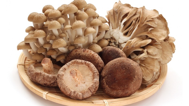 Holding a bowl of mushrooms