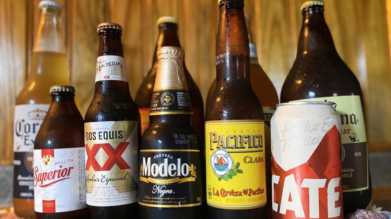 Mexican beers lined up in a row