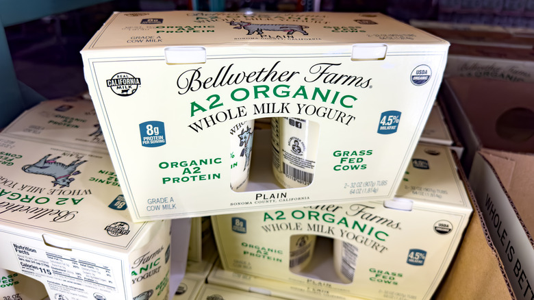 Costco's two-packs of Bellwether Farms Organic A2 Whole Milk Yogurt