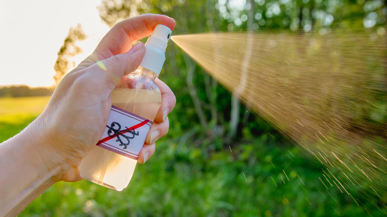 insect bug repellent spray homemade