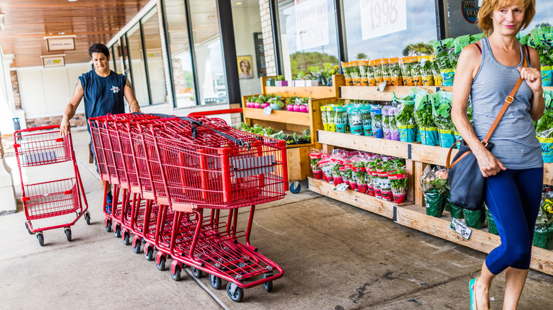 Trader Joe's employee returning shopping carts
