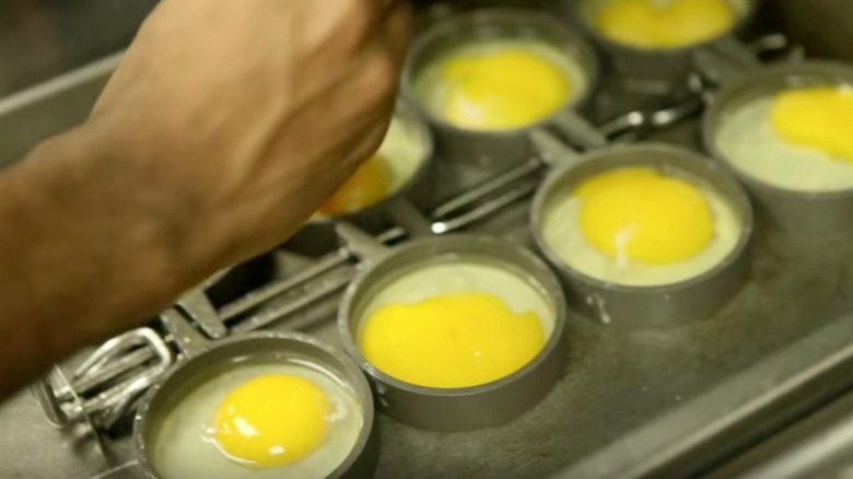 eggs