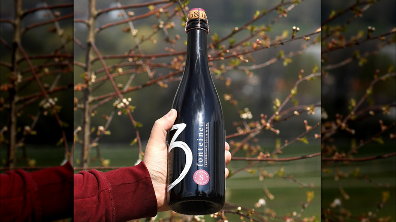 hand holding a bottle of Schaarbeekse Kriek