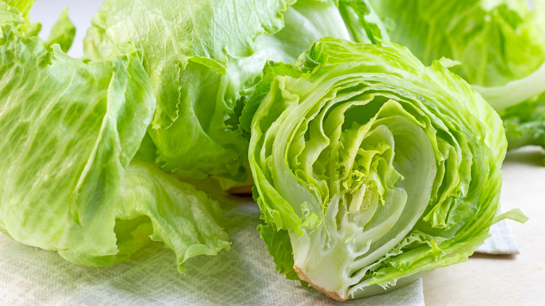 fresh and halved iceberg lettuce 