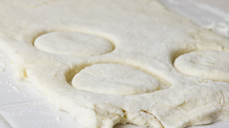 A close-up of raw biscuit dough with circles stamped into it with a pastry cutter