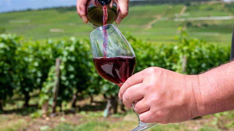   Hand Pinot in Glas gießen