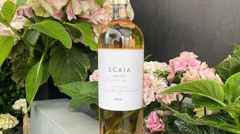 Bottle of Scaia Rosato Veneto IGT