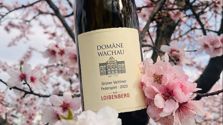 Bottle of Domäne Wachau Grüner Veltliner Federspiel RIED Liebenberg with cherry blossoms