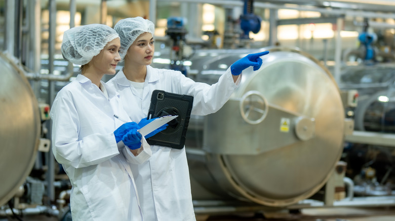 inspecting food plant