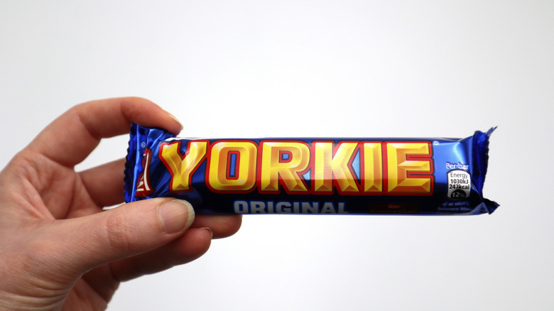 Hand holding Yorkie chocolate bar against white background