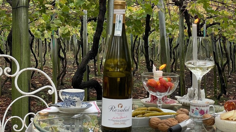 Bottle of Txakoli set in vineyard on table with foods and glass