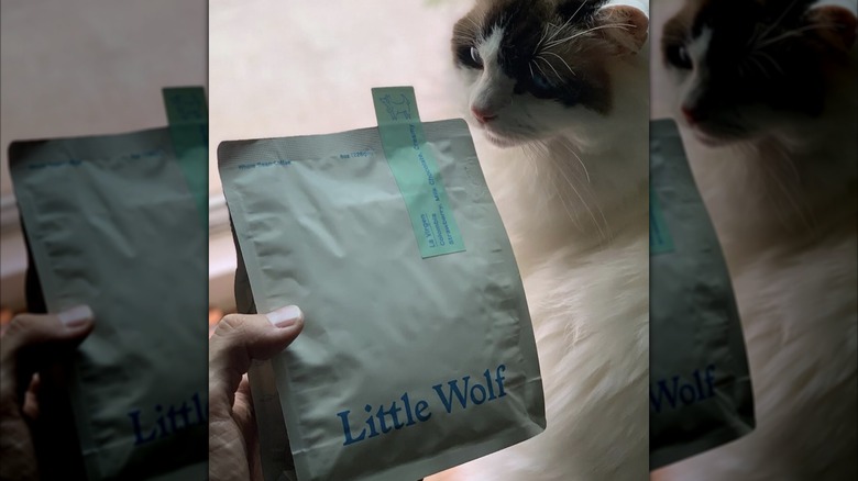 Cat sniffing a bag of Little Wolf Coffee