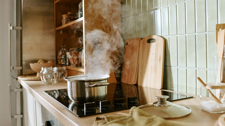 Pan simmering on induction stovetop