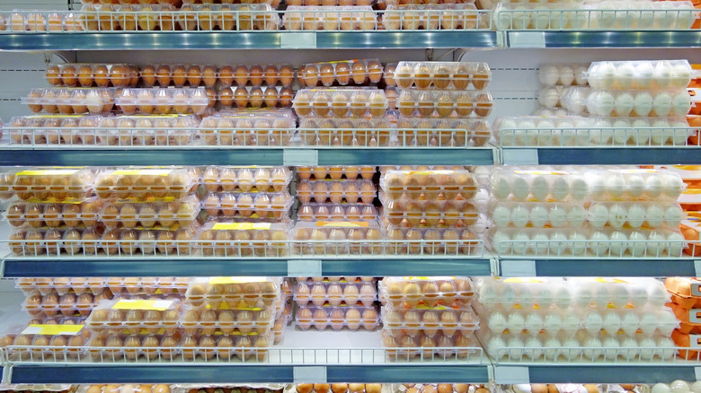 Rows of eggs in store fridge