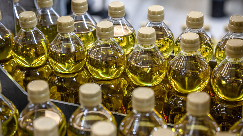 Rows of bottled olive oil