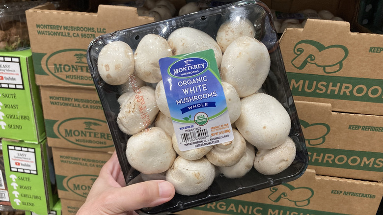 Container of organic white mushrooms