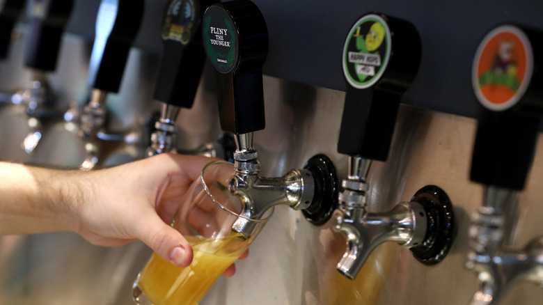 bartender pouring glass of Pliny the Younger