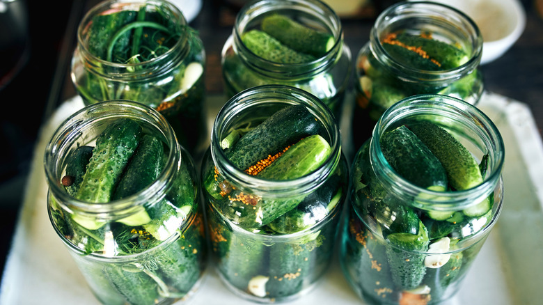 Jars of bright green pickled cucumbers