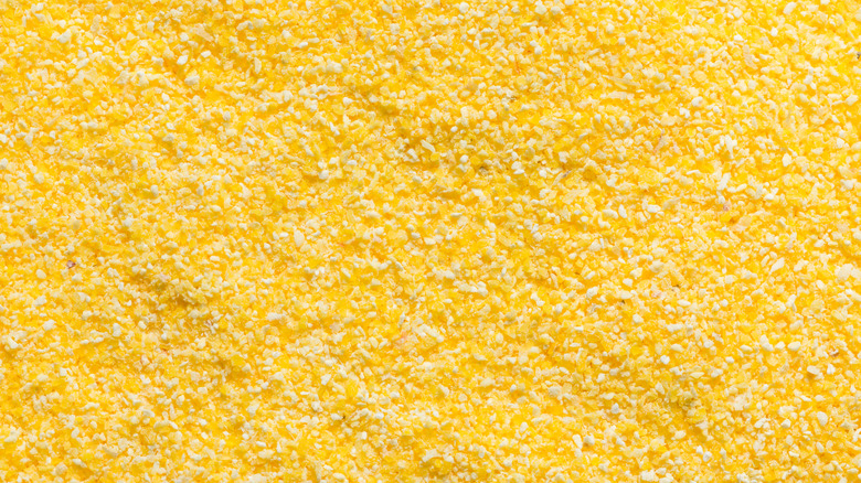 Close-up photo of cornmeal