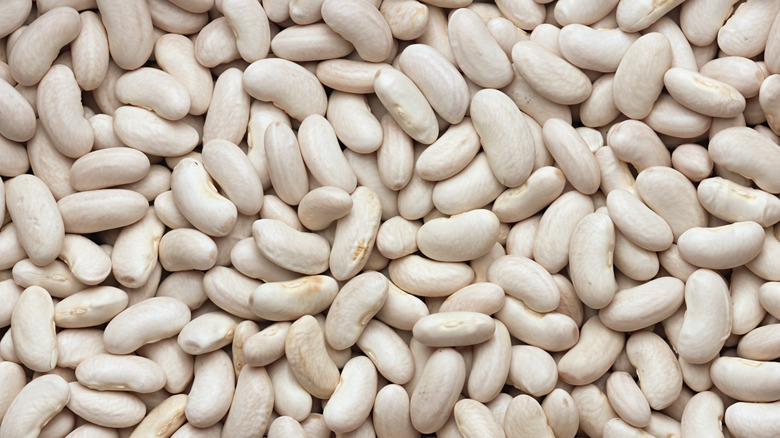 Close-up of dried white beans