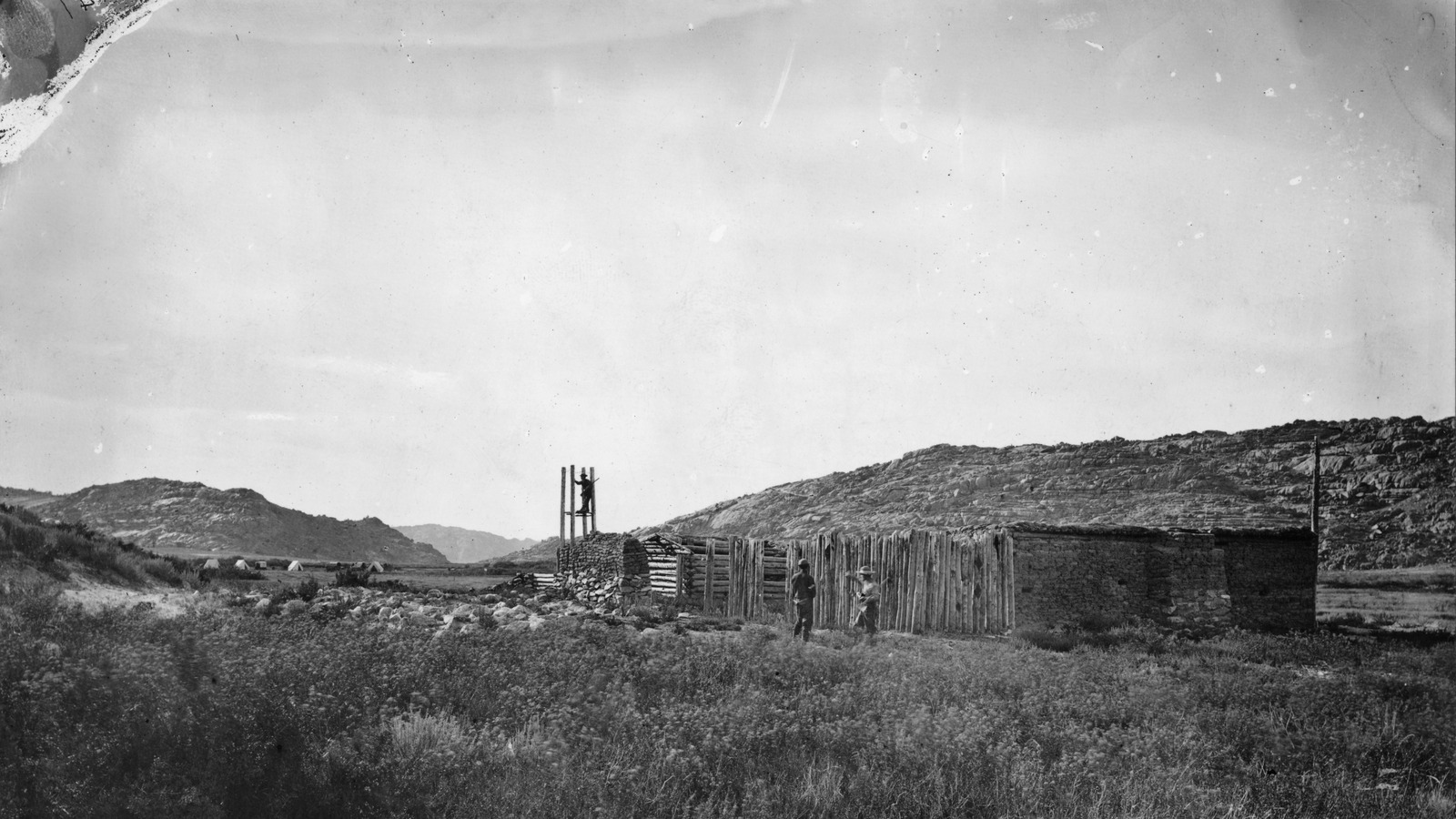11 Foods Pioneers Ate On The Oregon Trail Back In The Day