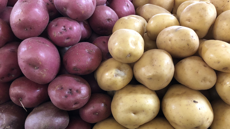 Pile of purple and russet potatoes