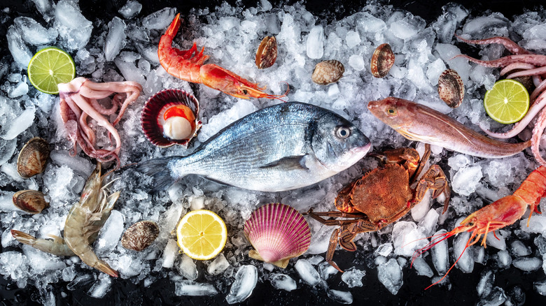 Variety of seafood on ice