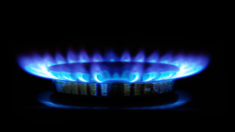 Gas stove with blue flame burning