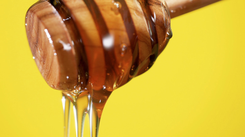 Closeup of honey drizzling from a wooden dipper