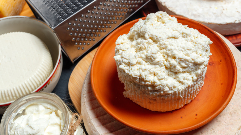Various types of fresh dairy cheese