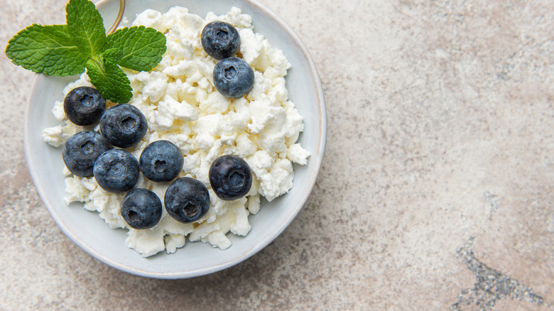 Bowl of cottage cheese with blueberries