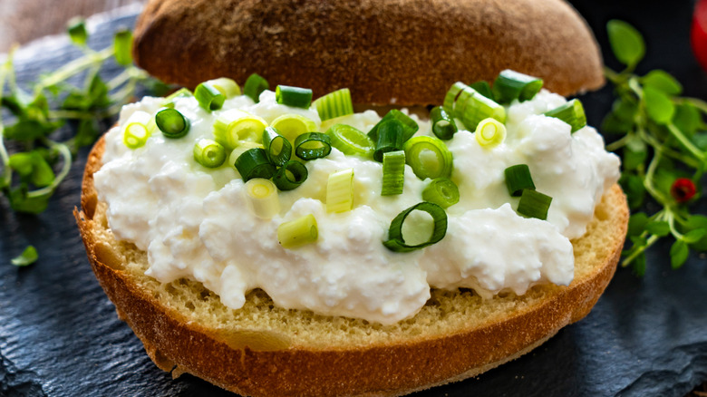 Cottage cheese and scallions on bread