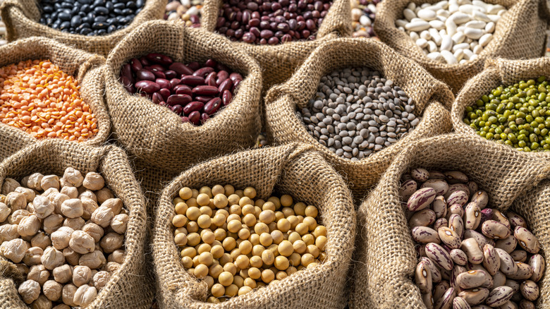 A variety of dried beans in burlap sacks