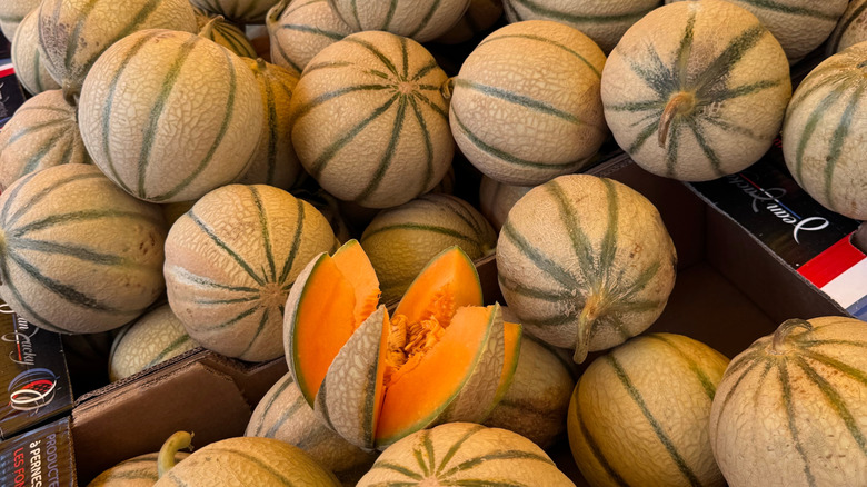 pile of cantaloupe at farmers market