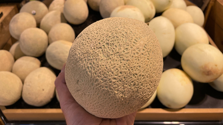 hand holding cantaloupe in store