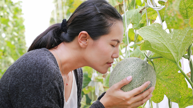 woman smelling cantaloupe melon