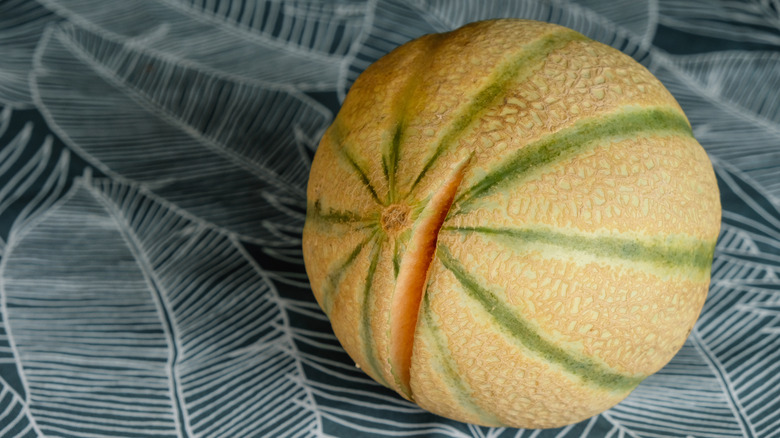 cracked cantaloupe melon