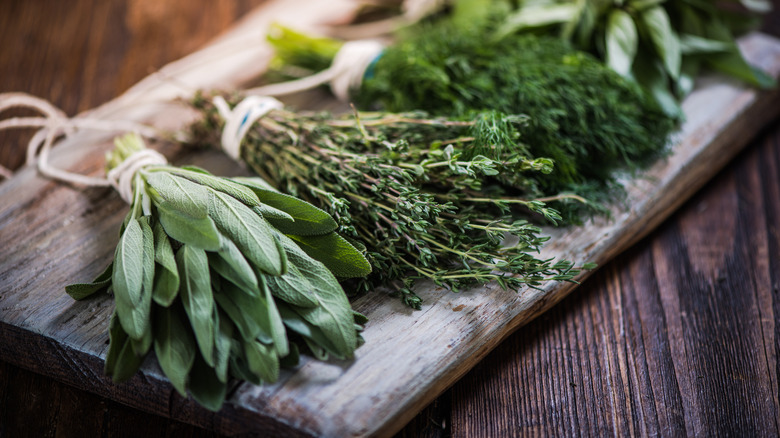 Bundles of fresh herbs on a wooden board