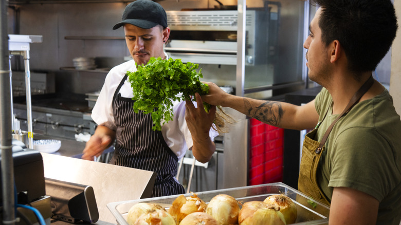 One chef handing another a bunch of cilantro in Mexican restaurant kitchen