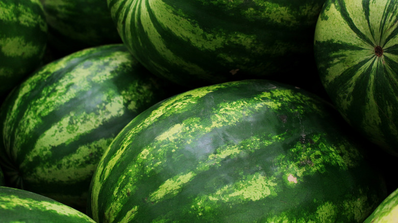 pile of watermelons