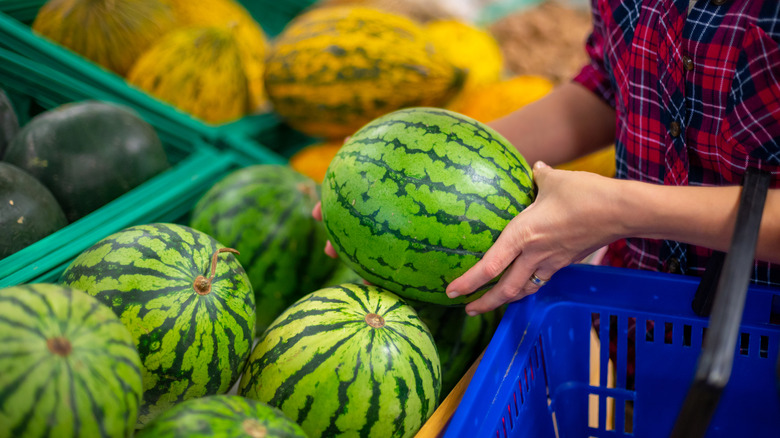 hands squeezing watermelon