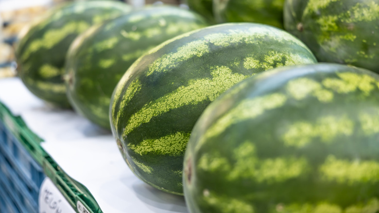 watermelons with wide dark green stripes