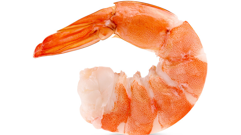 11 Types Of Shrimp Varieties From Around The World