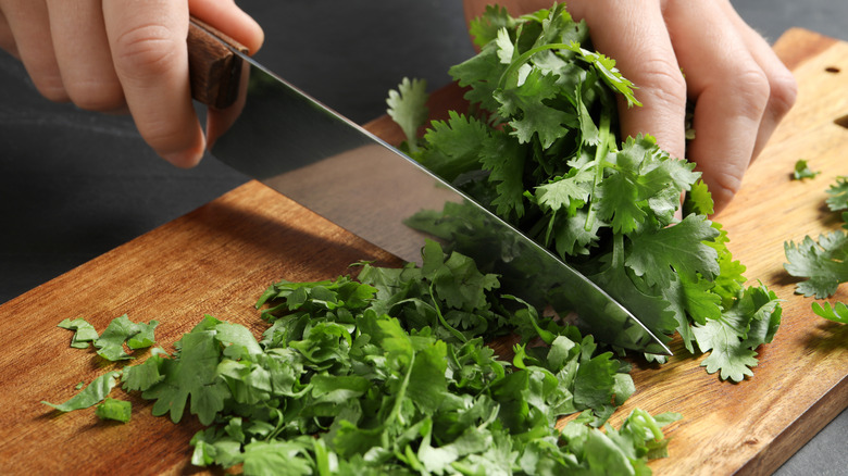 Hands chopping fresh cilantro on wooden cutting board